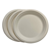 tableware Disposable biodegradable eco-friendly bagasse Plate